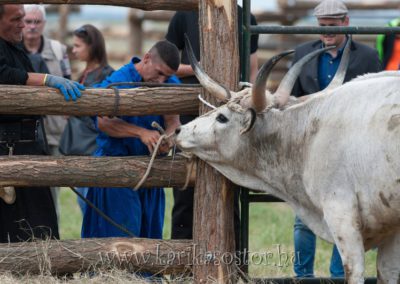 Gulyasverseny 2018 017