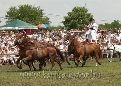 2007 Hortobágy 2