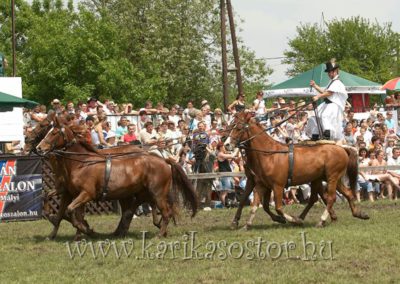 2007 Hortobágy 3