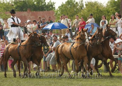 2007 Hortobágy 44