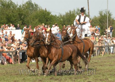 2007 Hortobágy 45