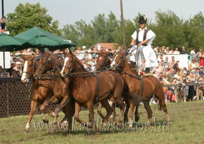 2007 Hortobágy 46