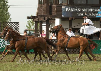 2007 Hortobágy 47