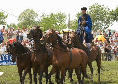 2007 Hortobágy 6