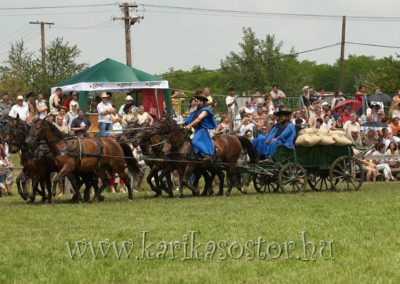 2007 Hortobágy 7