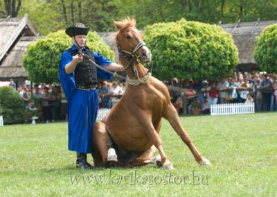 2007 Hódmezővásárhely 3