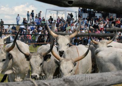 2008 Hortobágyi gulyásverseny 24