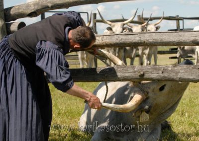 2008 Hortobágyi gulyásverseny 41