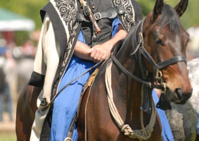 2008 Hortobágyi lovasnapok 13