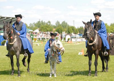 2008 Hortobágyi lovasnapok 15