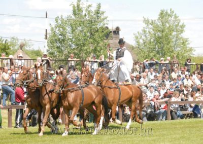 2008 Hortobágyi lovasnapok 17