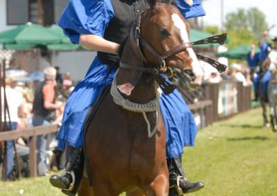 2008 Hortobágyi lovasnapok 27