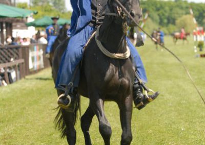 2008 Hortobágyi lovasnapok 30