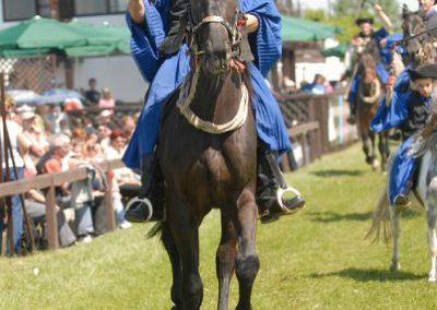 2008 Hortobágyi lovasnapok 33