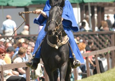 2008 Hortobágyi lovasnapok 44