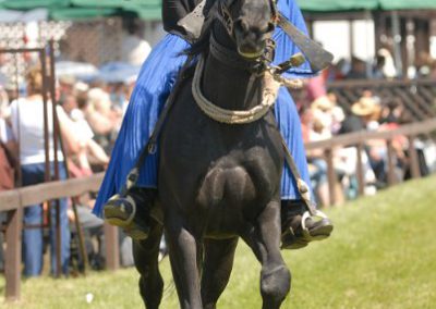 2008 Hortobágyi lovasnapok 45