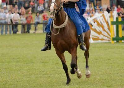 2008 Hortobágyi lovasnapok 60