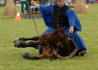 2008 Hortobágyi lovasnapok 64