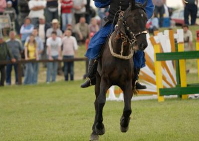 2008 Hortobágyi lovasnapok 67