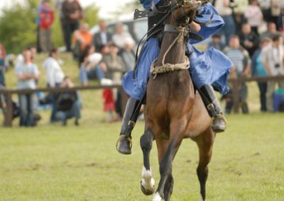 2008 Hortobágyi lovasnapok 89