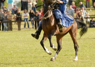 2008 Hortobágyi lovasnapok 97